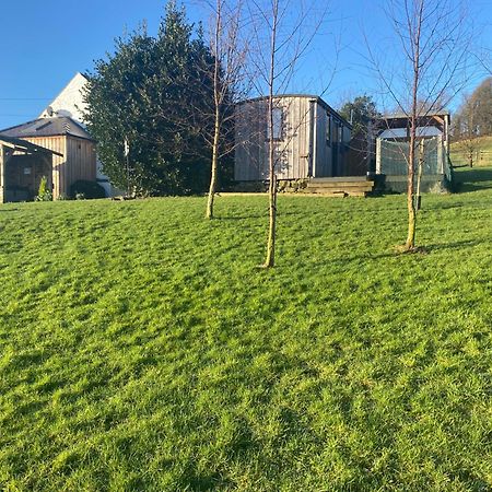 Stunning Shepherds Hut Rural Bliss Dumfries Luaran gambar
